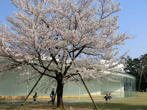 金沢21世紀美術館