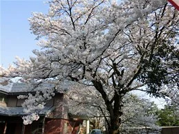 日本基督教団金沢教会3