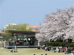 スターバックスコーヒー富山環水公園店