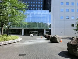 ソリッドスクエア5