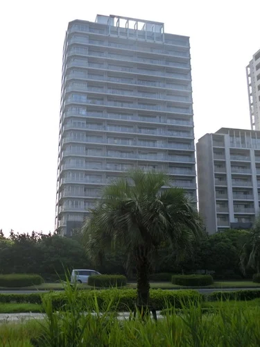 サンセットウイングライト