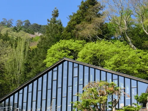 金子茶房・日東光学ショールーム