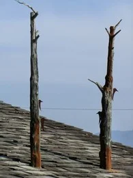 神長官守矢史料館