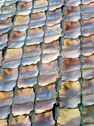 茨城県建設センター