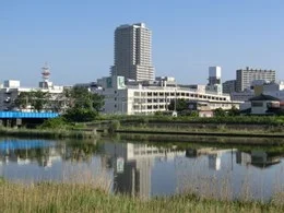 ソリッドタワー