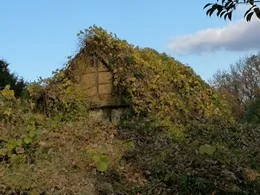 明日香村の星野リゾートホテル計画地