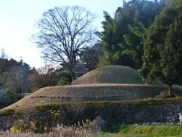 明日香村の星野リゾートホテル計画地