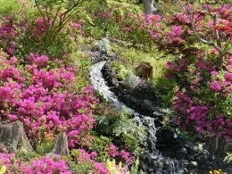 リバーガーデン千里中央 あかり絵のみち