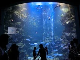 京都水族館3