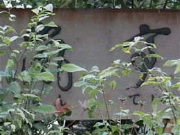 翠嵐ラグジュアリーコレクションホテル京都8