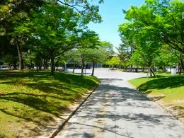 奈良県文化会館4