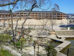 近畿大学附属小学校3
