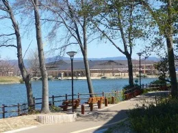 近畿大学附属小学校7