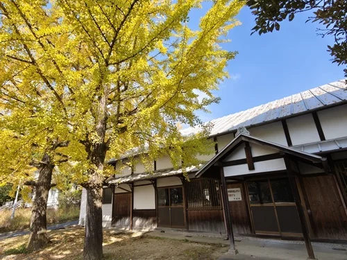 天理大学 弓道場