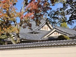 鼓阪小学校講堂・本館6