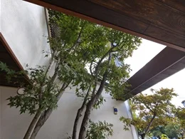 にしき堂 平和大通り田中町店4