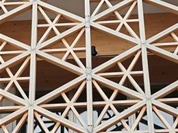 くるめてらす花畑4