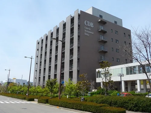 理研BDR  研究棟