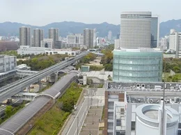 国際医療開発センター（IMDA）