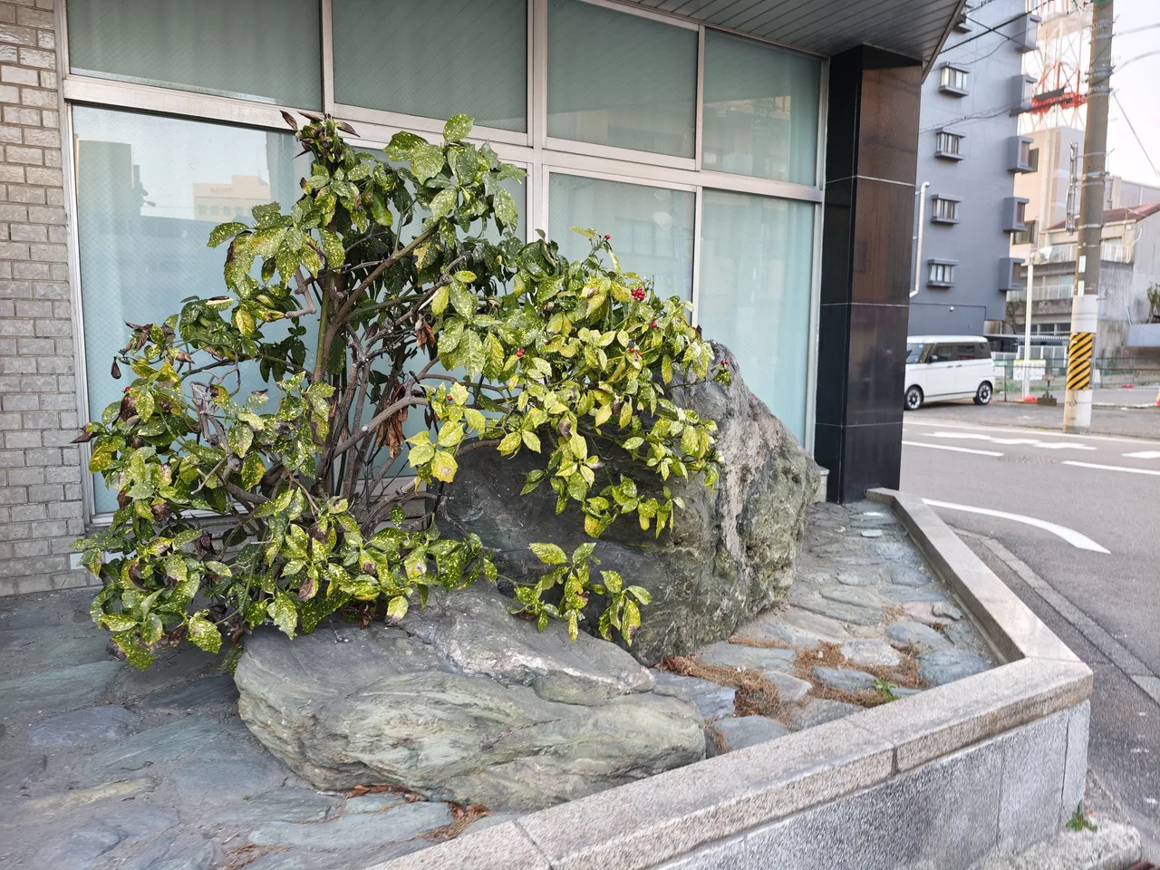小池組本社ビル