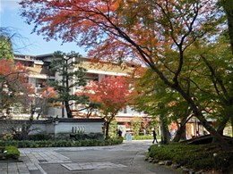 アマン京都4