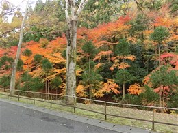 アマン京都