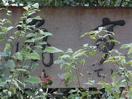 翠嵐ラグジュアリーコレクションホテル京都8