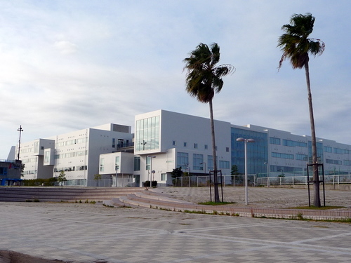 神戸国際大学