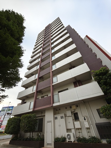 ウィーヴ花畑・マークタワー