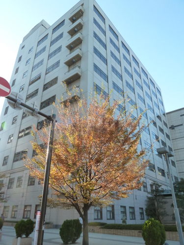 社会保険診療報酬支払基金 神奈川支部