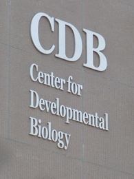 理研BDR  研究棟2