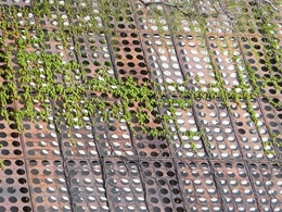 シャルレ神戸本社ビル2