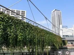 ブランズタワー南堀江