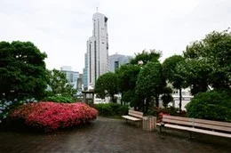 あいおいニッセイ同和損保フェニックスタワー