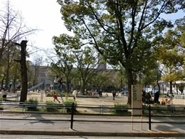 ジオタワー南堀江