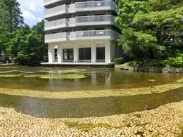 ベル・パークシティ・J棟