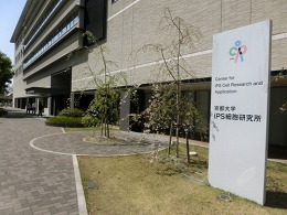 京都大学iPS細胞研究所 第1研究棟4
