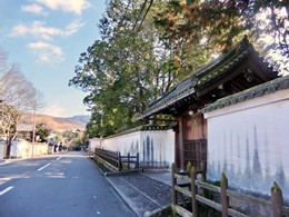 奈良公園の最高級インターナショナルホテル計画地4