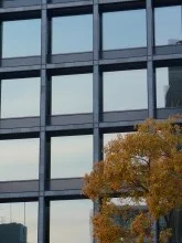 【船場の新ビル】