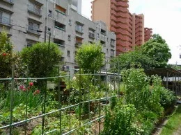 大阪府営上町住宅1号棟4