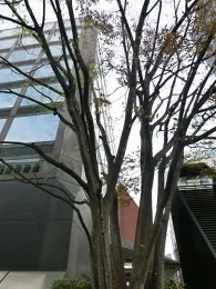 旧・瀧定大阪本社ビル