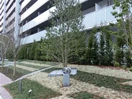 プラウドシティ新大阪5