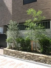 マーケテック本社ビル4