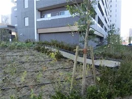 ウェリス鶴見緑地