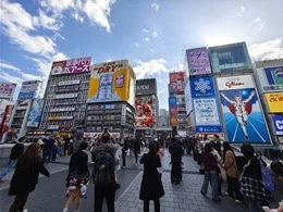 コムラード・ドウトンビル