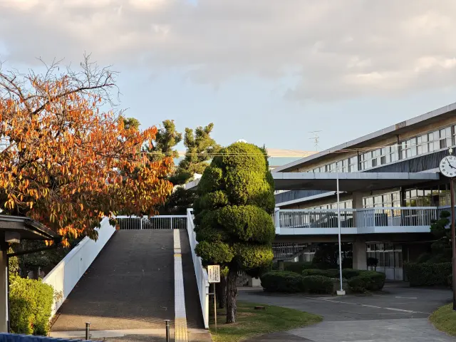 大阪府立阪南高等学校3