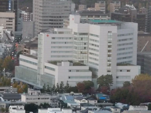 日本赤十字社医療センター