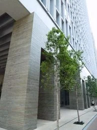 清水建設本社ビル5