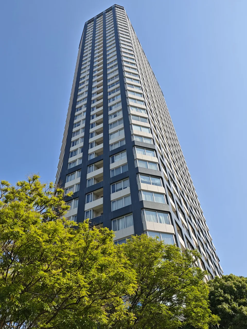 ザ・センター東京