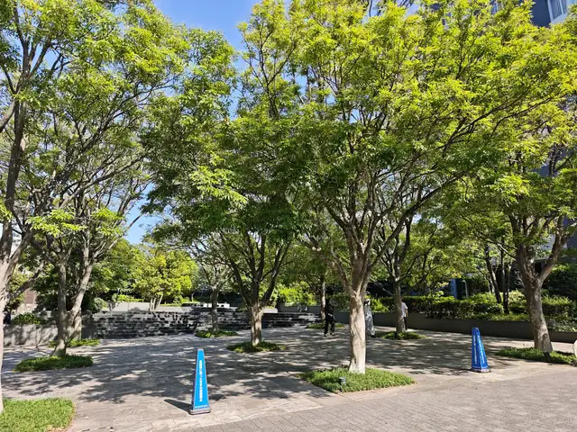 ザ・センター東京